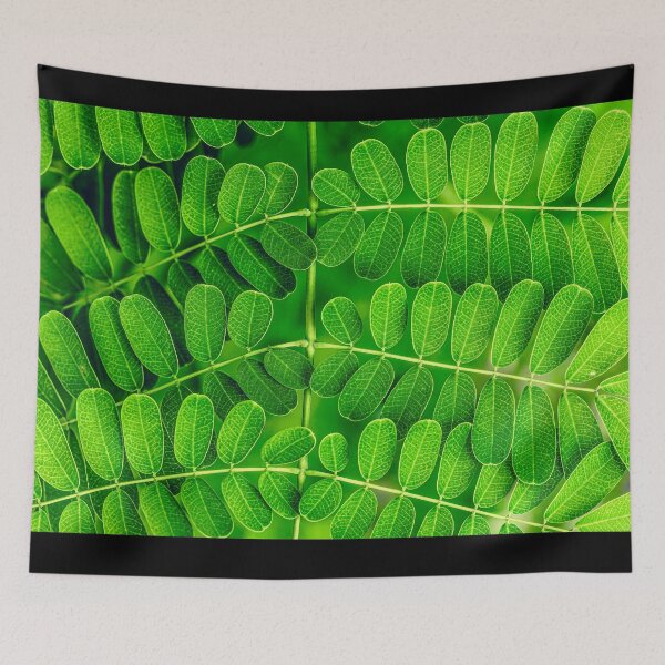 Item preview, Detailed Close-up of Symmetrical Green Pinnate Leaves Showing Intricate Vein Patterns designed and sold by AbulailArt.