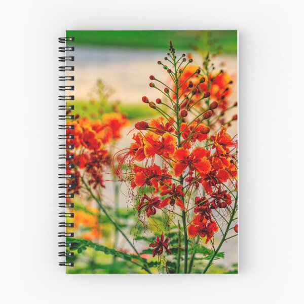 Item preview, flowers in bloom with a soft-focus garden background. designed and sold by AbulailArt.