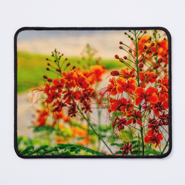 Item preview, flowers in bloom with a soft-focus garden background. designed and sold by AbulailArt.