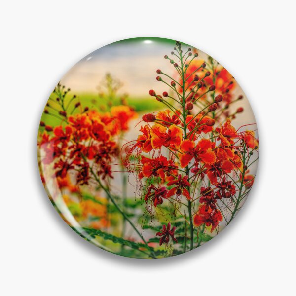 Item preview, flowers in bloom with a soft-focus garden background. designed and sold by AbulailArt.