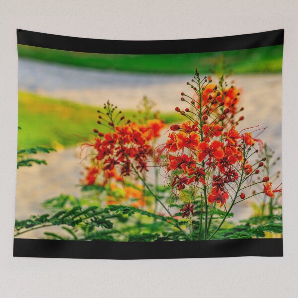 Item preview, flowers in bloom with a soft-focus garden background. designed and sold by AbulailArt.