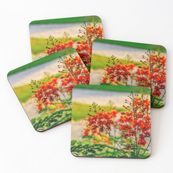Item preview, flowers in bloom with a soft-focus garden background. designed and sold by AbulailArt.
