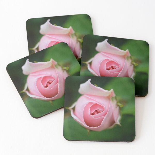 Item preview, Blush Pink Rosebud | Romantic Botanical Photography designed and sold by SilentBloomLab.
