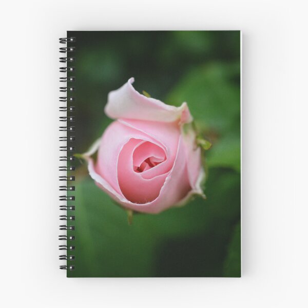 Item preview, Blush Pink Rosebud | Romantic Botanical Photography designed and sold by SilentBloomLab.