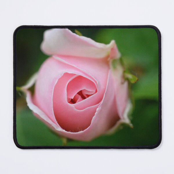 Item preview, Blush Pink Rosebud | Romantic Botanical Photography designed and sold by SilentBloomLab.