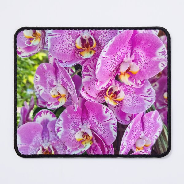 Item preview, Pink Moth Orchid Bloom - Delicate Tropical Petals | Soft Pink Botanical Art designed and sold by Ross.A.Campbell.