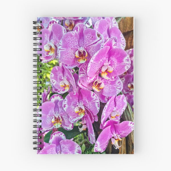 Item preview, Pink Moth Orchid Bloom - Delicate Tropical Petals | Soft Pink Botanical Art designed and sold by Ross.A.Campbell.