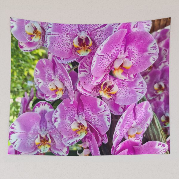 Item preview, Pink Moth Orchid Bloom - Delicate Tropical Petals | Soft Pink Botanical Art designed and sold by Ross.A.Campbell.