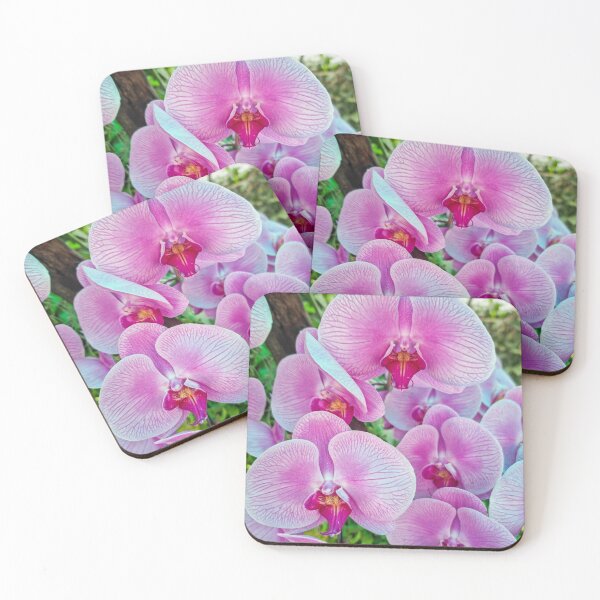 Item preview, Pink Moth Orchid Bloom - Delicate Tropical Petals | Soft Pink Botanical Art designed and sold by Ross.A.Campbell.