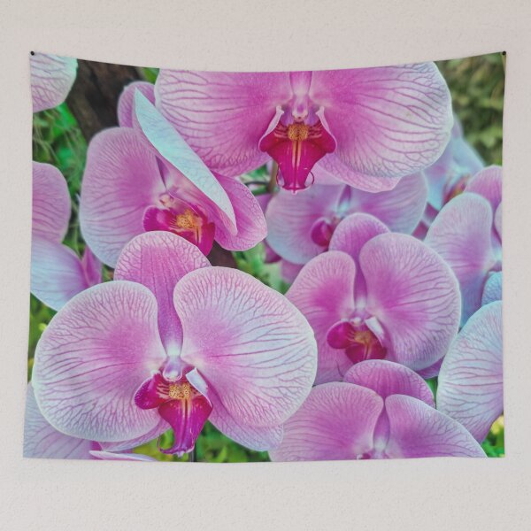 Item preview, Pink Moth Orchid Bloom - Delicate Tropical Petals | Soft Pink Botanical Art designed and sold by Ross.A.Campbell.