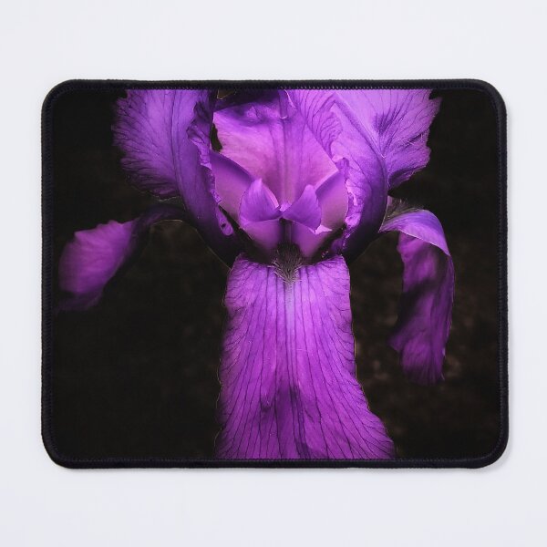 Item preview, Velvet Purple Iris | Dark Botanical Photography designed and sold by SilentBloomLab.