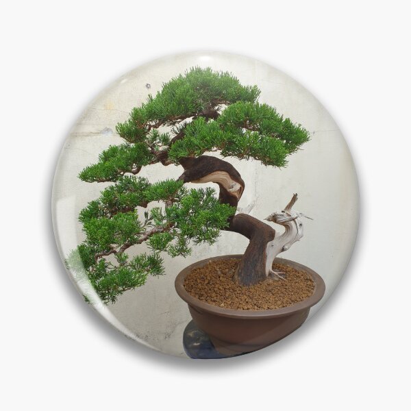 Item preview, Vietnamese Bonsai Masterpiece - Ancient Living Sculpture | Zen Garden Fine Art designed and sold by Ross.A.Campbell.