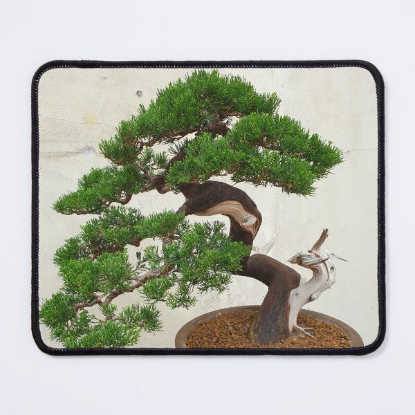 Item preview, Vietnamese Bonsai Masterpiece - Ancient Living Sculpture | Zen Garden Fine Art designed and sold by Ross.A.Campbell.