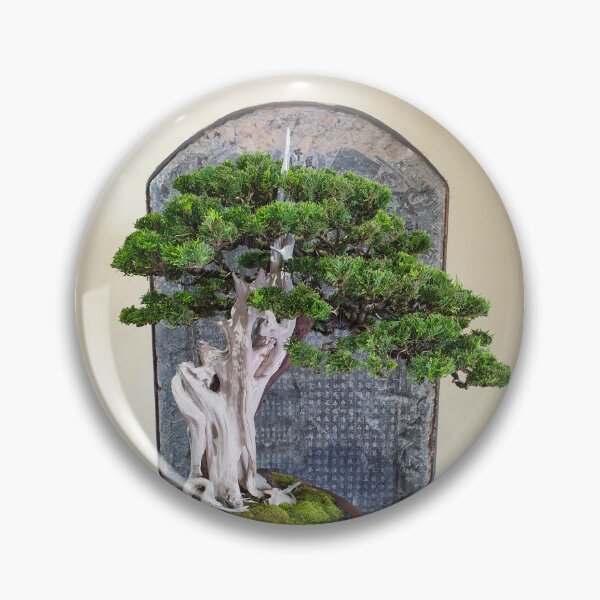 Item preview, Vietnamese Bonsai Masterpiece - Ancient Living Sculpture | Zen Garden Fine Art designed and sold by Ross.A.Campbell.