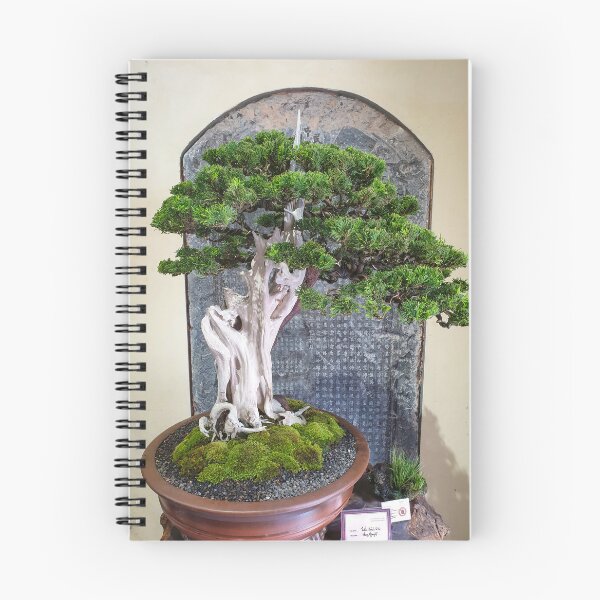 Item preview, Vietnamese Bonsai Masterpiece - Ancient Living Sculpture | Zen Garden Fine Art designed and sold by Ross.A.Campbell.