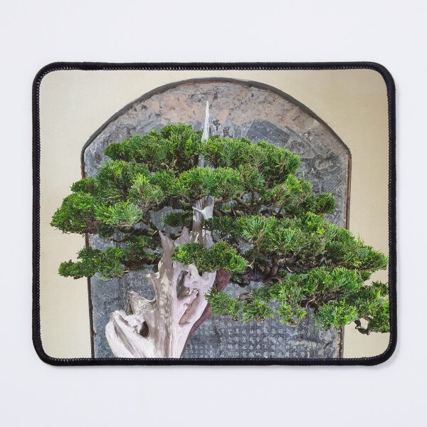 Item preview, Vietnamese Bonsai Masterpiece - Ancient Living Sculpture | Zen Garden Fine Art designed and sold by Ross.A.Campbell.