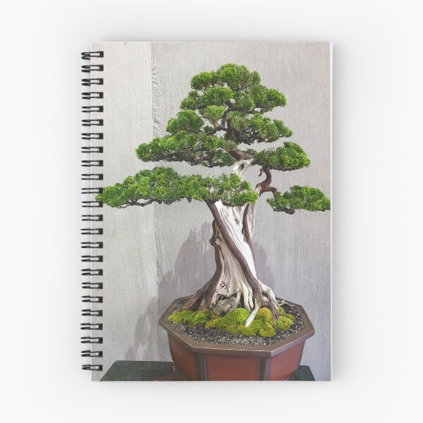 Item preview, Vietnamese Bonsai Masterpiece - Ancient Living Sculpture | Zen Garden Fine Art designed and sold by Ross.A.Campbell.