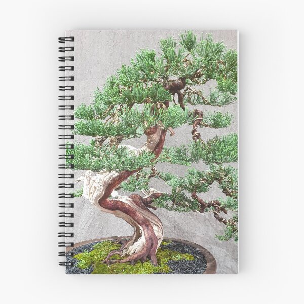 Item preview, Vietnamese Bonsai Masterpiece - Ancient Living Sculpture | Zen Garden Fine Art designed and sold by Ross.A.Campbell.