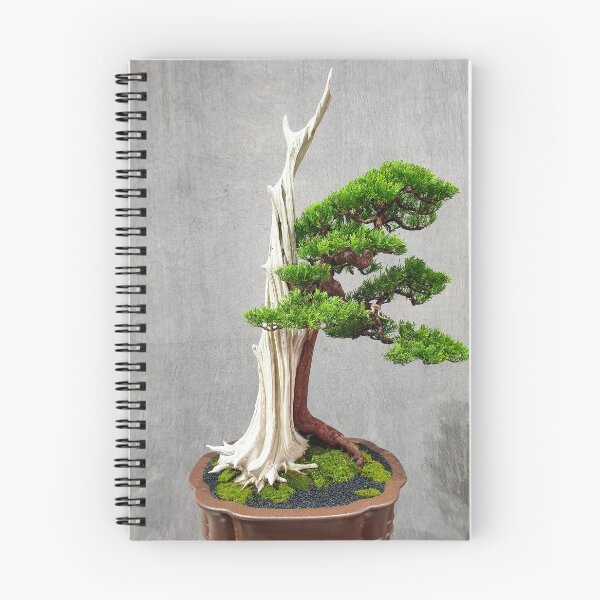 Item preview, Vietnamese Bonsai Masterpiece - Ancient Living Sculpture | Zen Garden Fine Art designed and sold by Ross.A.Campbell.