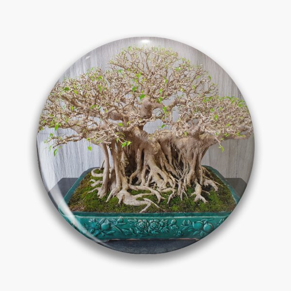 Item preview, Vietnamese Bonsai Masterpiece - Ancient Living Sculpture | Zen Garden Fine Art designed and sold by Ross.A.Campbell.