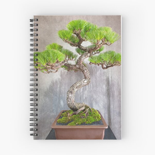 Item preview, Vietnamese Bonsai Masterpiece - Ancient Living Sculpture | Zen Garden Fine Art designed and sold by Ross.A.Campbell.