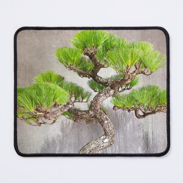 Item preview, Vietnamese Bonsai Masterpiece - Ancient Living Sculpture | Zen Garden Fine Art designed and sold by Ross.A.Campbell.