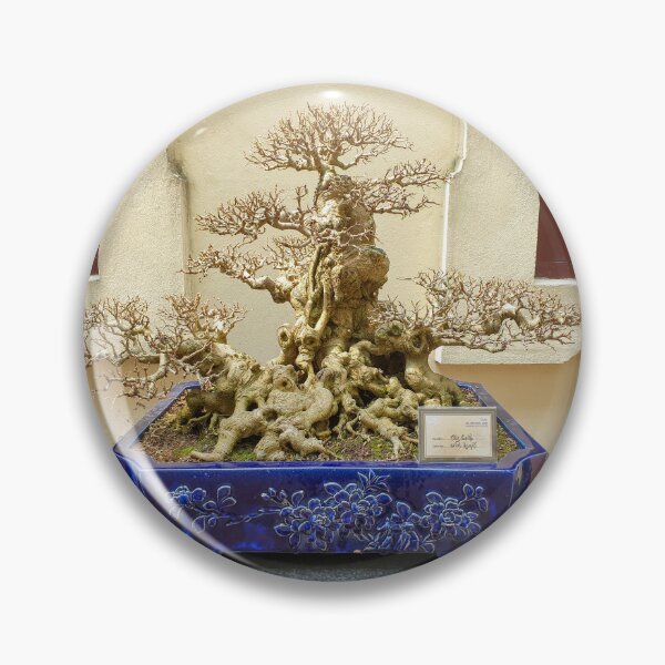 Item preview, Vietnamese Bonsai Masterpiece - Ancient Living Sculpture | Zen Garden Fine Art designed and sold by Ross.A.Campbell.