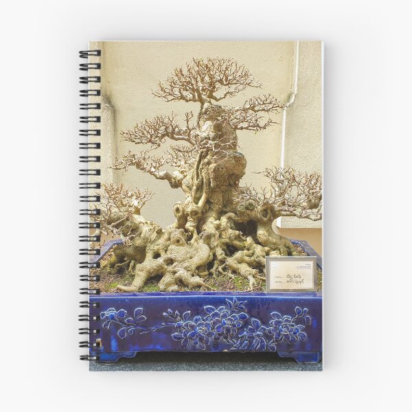 Item preview, Vietnamese Bonsai Masterpiece - Ancient Living Sculpture | Zen Garden Fine Art designed and sold by Ross.A.Campbell.