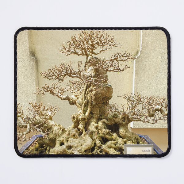 Item preview, Vietnamese Bonsai Masterpiece - Ancient Living Sculpture | Zen Garden Fine Art designed and sold by Ross.A.Campbell.