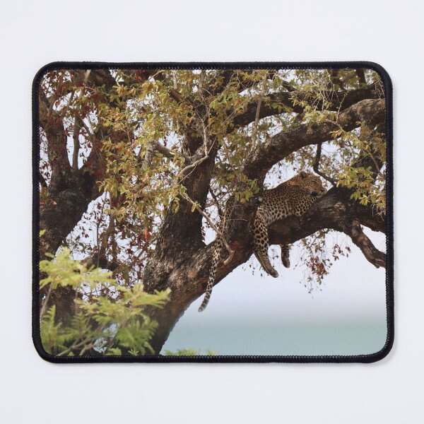 Item preview, Big Cat designed and sold by TPerfect.