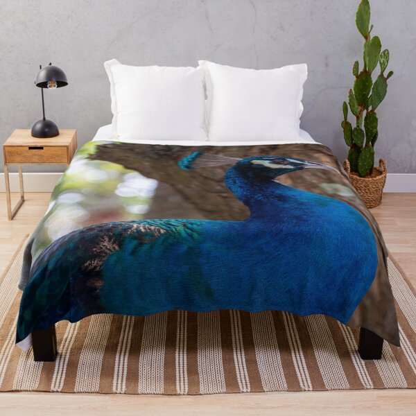Item preview, Majestic Male Peacock - Iridescent Blue Plumes | Wild Wildlife Nature Photography designed and sold by Ross.A.Campbell.