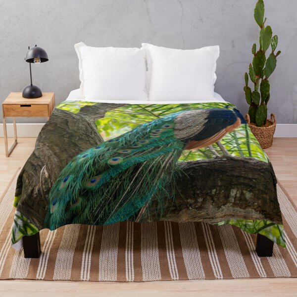 Item preview, Majestic Male Peacock - Iridescent Blue Plumes | Wild Wildlife Nature Photography designed and sold by Ross.A.Campbell.