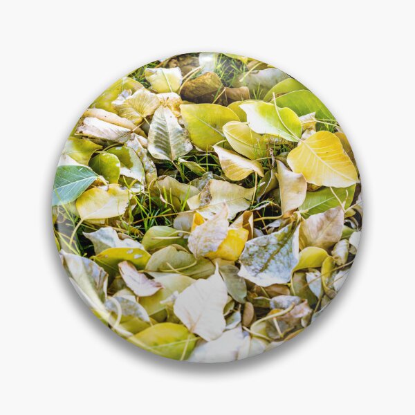 Item preview, Close-up view of fallen autumn leaves in shades of yellow and green covering a grassy ground designed and sold by AbulailArt.