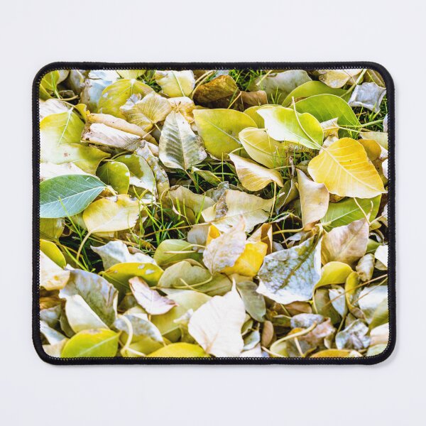 Item preview, Close-up view of fallen autumn leaves in shades of yellow and green covering a grassy ground designed and sold by AbulailArt.