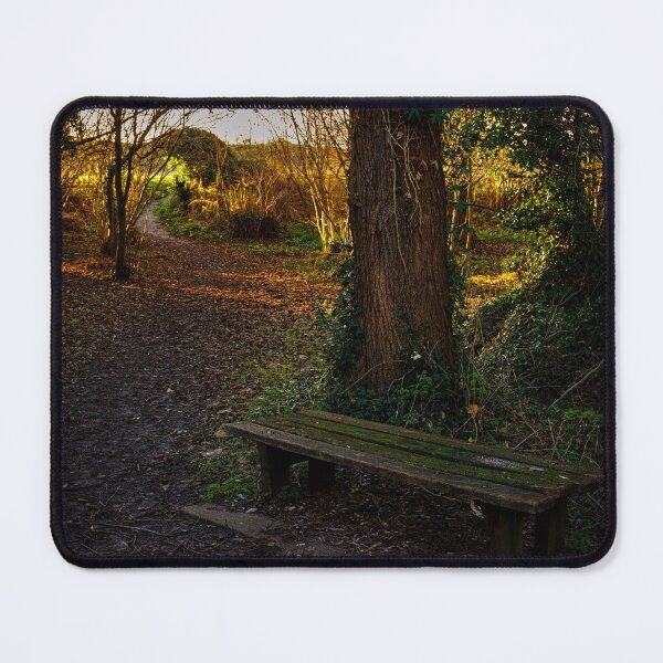Item preview, Bench 2 designed and sold by Lawrence Woolston.