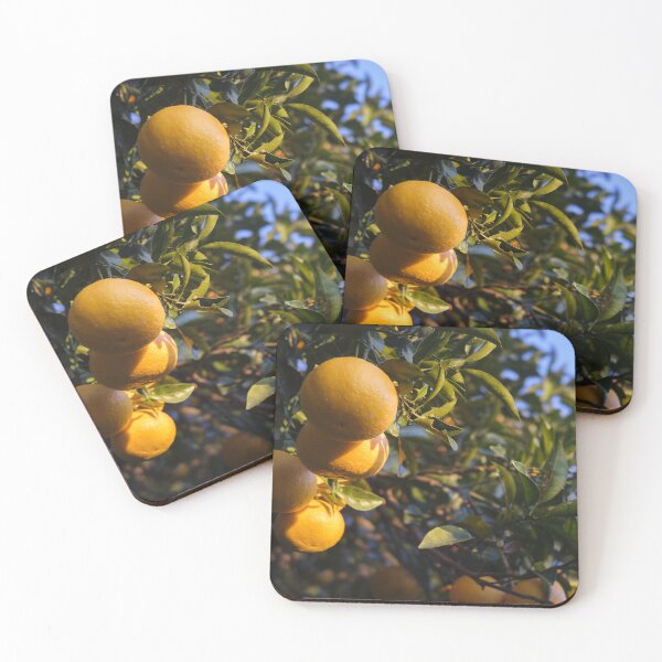 Item preview, Japanese Mikan Citrus Fruit at Sunrise – Satta-Toge Pass, Shizuoka, Japan designed and sold by Pix4Japan.