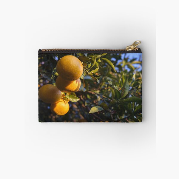 Item preview, Japanese Mikan Citrus Fruit at Sunrise – Satta-Toge Pass, Shizuoka, Japan designed and sold by Pix4Japan.