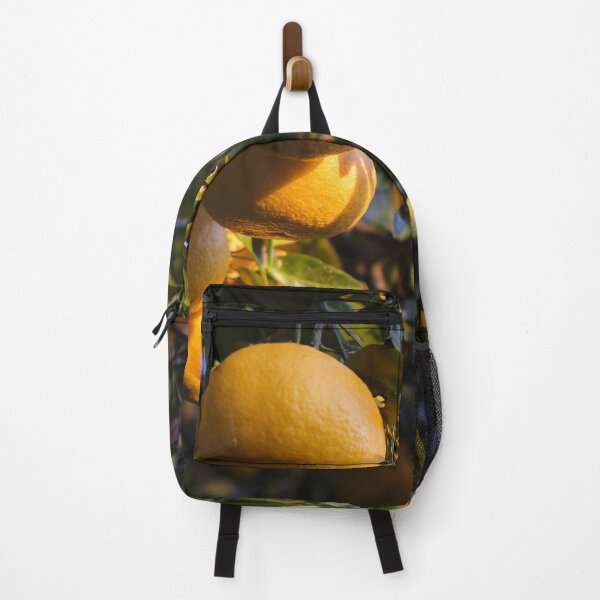 Item preview, Japanese Mikan Citrus Fruit at Sunrise – Satta-Toge Pass, Shizuoka, Japan designed and sold by Pix4Japan.