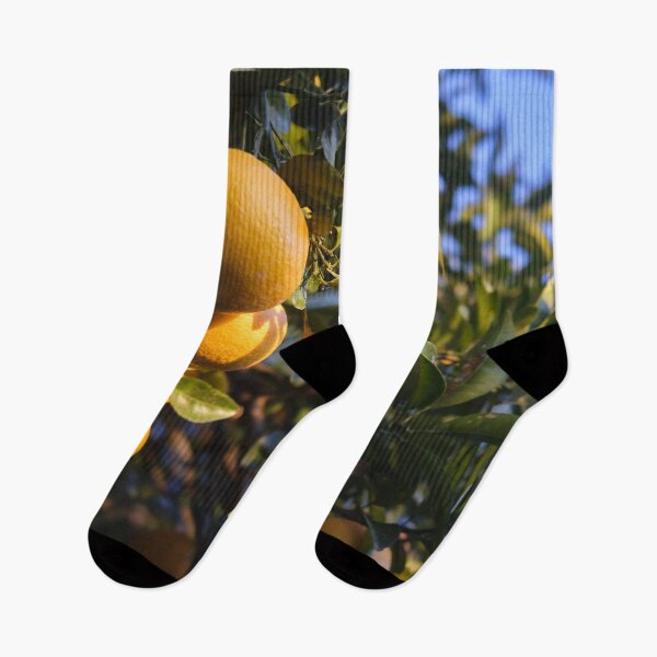Item preview, Japanese Mikan Citrus Fruit at Sunrise – Satta-Toge Pass, Shizuoka, Japan designed and sold by Pix4Japan.