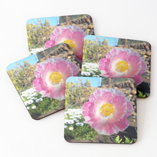 Item preview, silk poppy designed and sold by birgitsfotoshop.