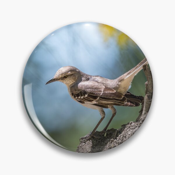 Item preview, Northern Mockingbird at National Butterfly Center designed and sold by Debra Martz.