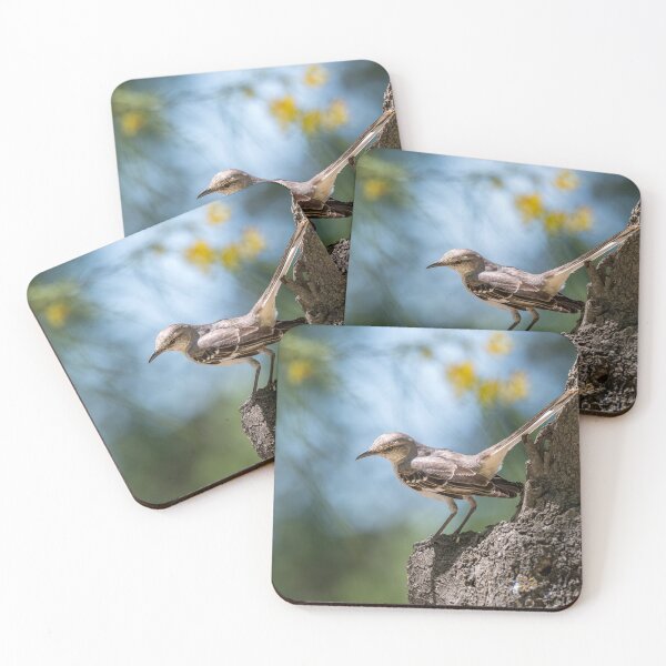 Item preview, Northern Mockingbird at National Butterfly Center designed and sold by Debra Martz.
