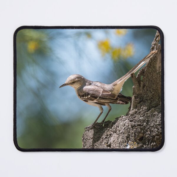 Item preview, Northern Mockingbird at National Butterfly Center designed and sold by Debra Martz.