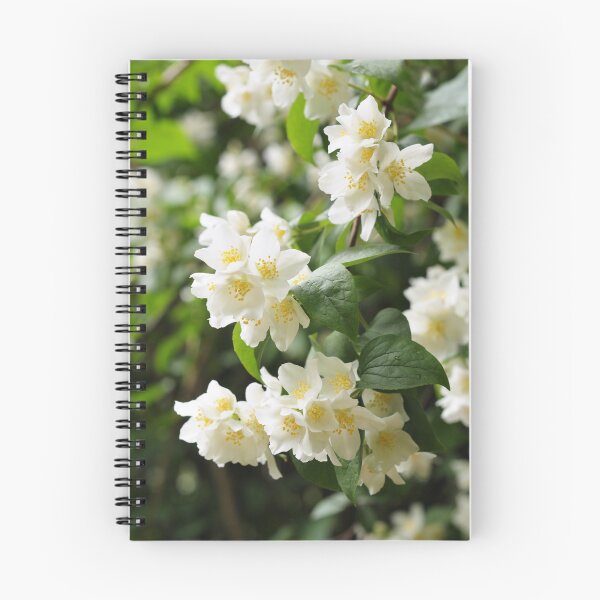 Artikelvorschau, Romantische Jasminblüten entworfen und verkauft von AsahiNoAme.