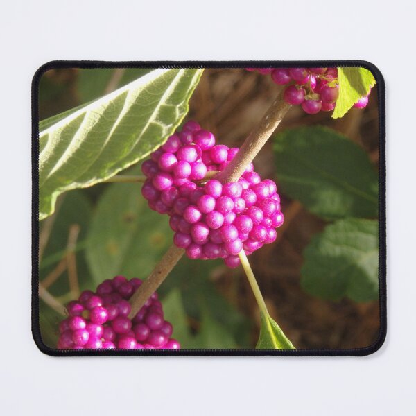 Item preview, French Mulberry Grows in The Wild designed and sold by JaeandJ.