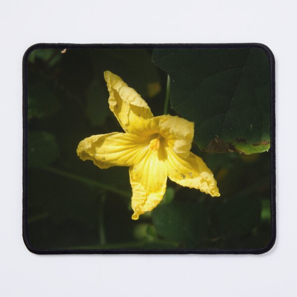 Item preview, Yellow Flower in the Wild designed and sold by JaeandJ.