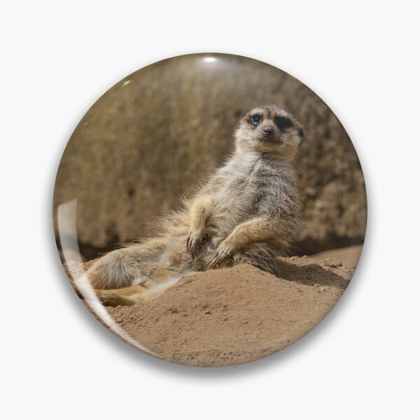 Item preview, A playful meerkat sunbathing – a relaxed wildlife moment designed and sold by Marc Alexander Kunze.