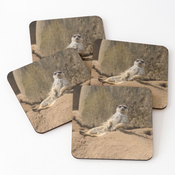 Item preview, A playful meerkat sunbathing – a relaxed wildlife moment designed and sold by Marc Alexander Kunze.