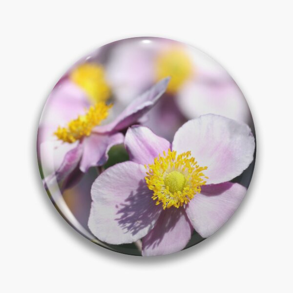Artikelvorschau, Rosa Anemonen entworfen und verkauft von AsahiNoAme.
