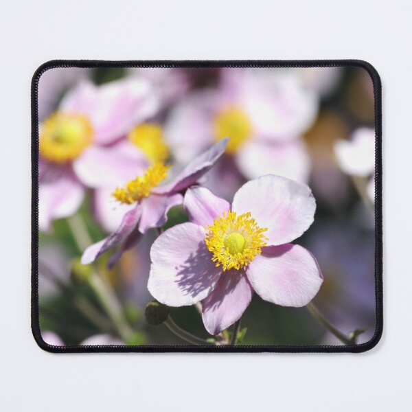 Item preview, Pink anemones designed and sold by AsahiNoAme.